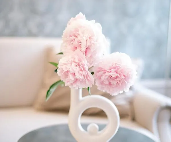 酒店 Palac Na Opieszynie 4*